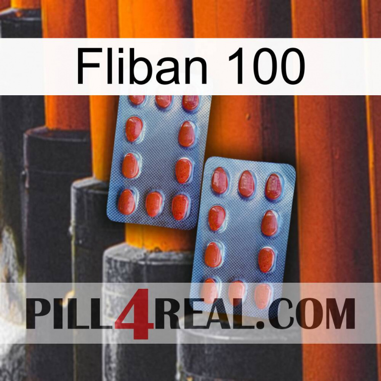 Fliban 100 05